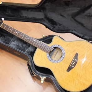 美品 レア FERNANDES FAA-500E ピックアップ付エレアコ 美品 レア FERNANDES FAA-500E ピックアップ付エレアコ - メルカリ