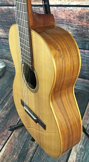Giannini awn 60 on sale