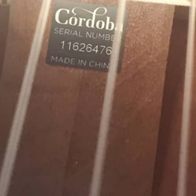 Cordoba Classical Guitar Iberia Series Model C-5 New Includes Setup, Warranty! image 7