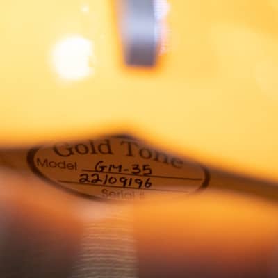 Goldtone GM-35 F-Style Mandolin w/case image 10