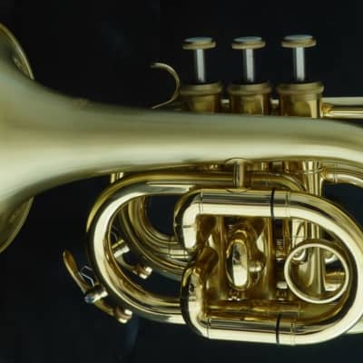 Satin Lacquer ACB Doubler's Large Bell Pocket Trumpet! image 5
