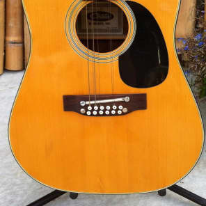 Contessa acoustic guitar top