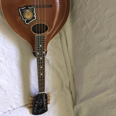 Gibson Mandolin vintage Before 1913 Light front/dark back wooden image 5