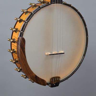OME Eclipse 11" Open Back Banjo w/ Maple Neck and Rim image 1
