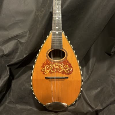 American Conservatory Bowl Back Mandolin 1890s - Brazilian RW - Org Case - Great Player - Ships FREE!!! for sale