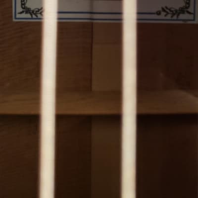1990s Harvey Leach F29 Acoustic Guitar w/ Hard Case image 16