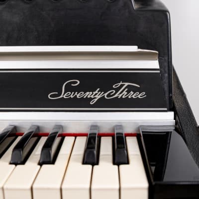 1980 Rhodes Suitcase 73 Mk II Vintage Electric Piano w/ Janus Preamp, Serviced w/ Mk I Action image 6