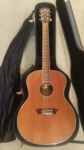 Washburn wg4s deals