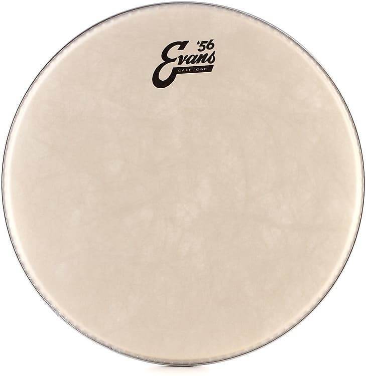 Evans Calftone Drumhead - 13 inch image 1