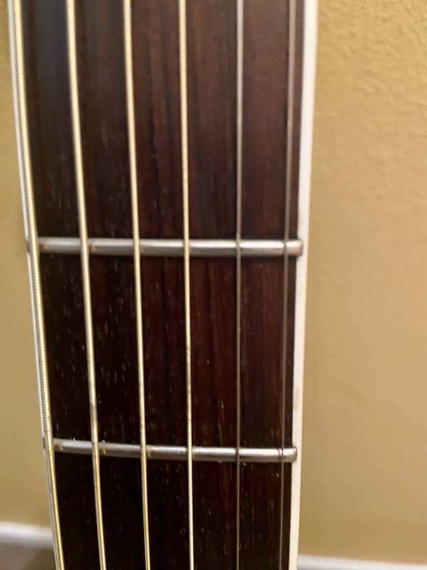 Takamine PT-007N 1980