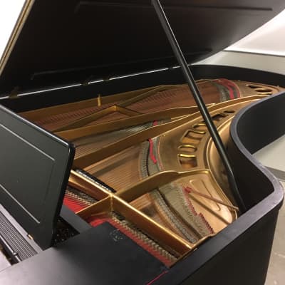 Knabe 9'   cira 1930   full size grand concert piano for a fraction off the price image 2