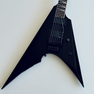 Fernandes / Burny FLG-100 (Tokai Made) Modify 1976