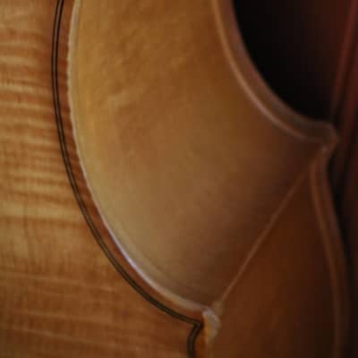 Kay M1 1950 Violin Bass Blonde image 13