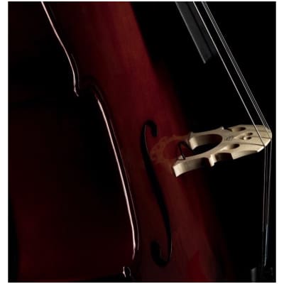 Fishman C200 Classic Series Cello Pickup image 2