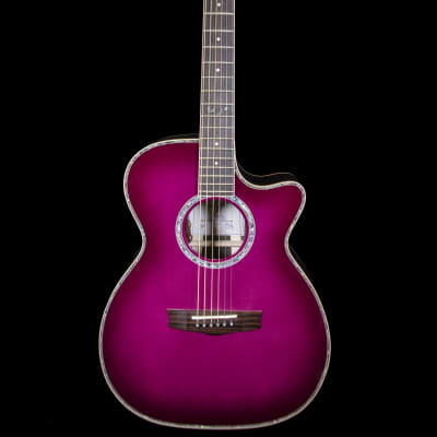 Homestead Queen of the Night Dutch Black Tulip OM Acoustic/Electric Guitar w/ Hard Case image 2