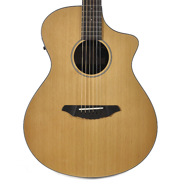 Breedlove passport c250 sale