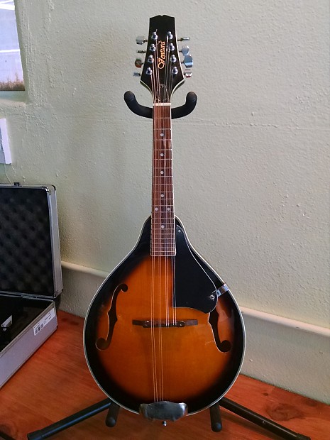 Ventura mandolin shop
