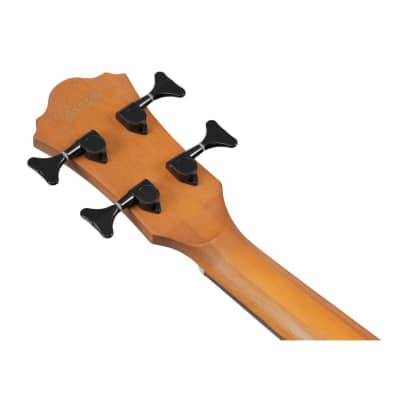 Ibanez AEGB25E 4-String Right-Handed Electric Bass Guitar with Nyatoh and Maple Neck and Walnut Fingerboard (Transparent Black Burst High Gloss) image 7