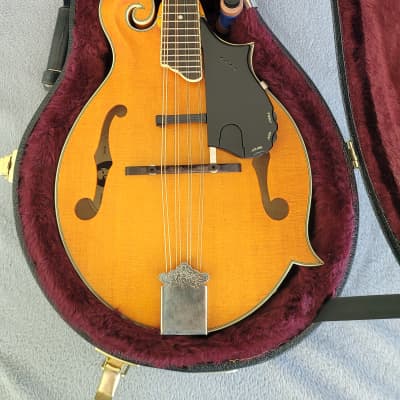 Epiphone MM-50E Professional Mandolin | Reverb Canada