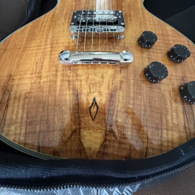 Washburn Prototype #1 - Idol - Spalted Maple Natural 2012 image 3