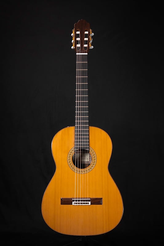 Esteve 7SR Handmade Classical Guitar image 1