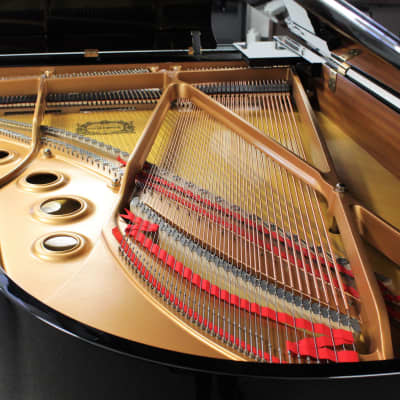 Yamaha C5 Grand Piano image 5