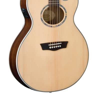 Washburn EA-22 Nuno Bettencourt Platinum Edition 1994 Black