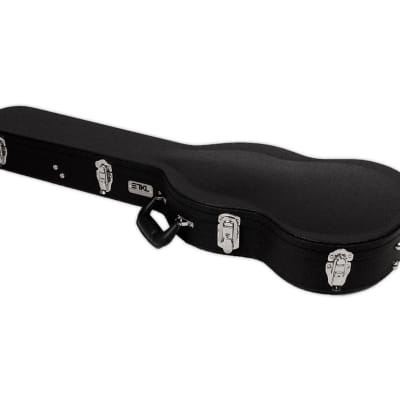 Double neck guitar case for deals sale