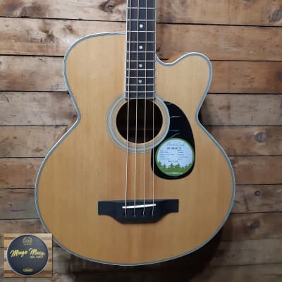 Beaver Creek BCB05CE acoustic electric bass for sale