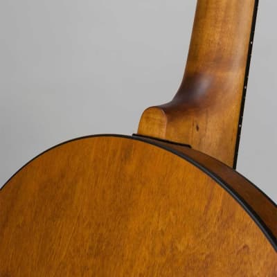 Deering Phoenix Acoustic/Electric 6-String Banjo image 7
