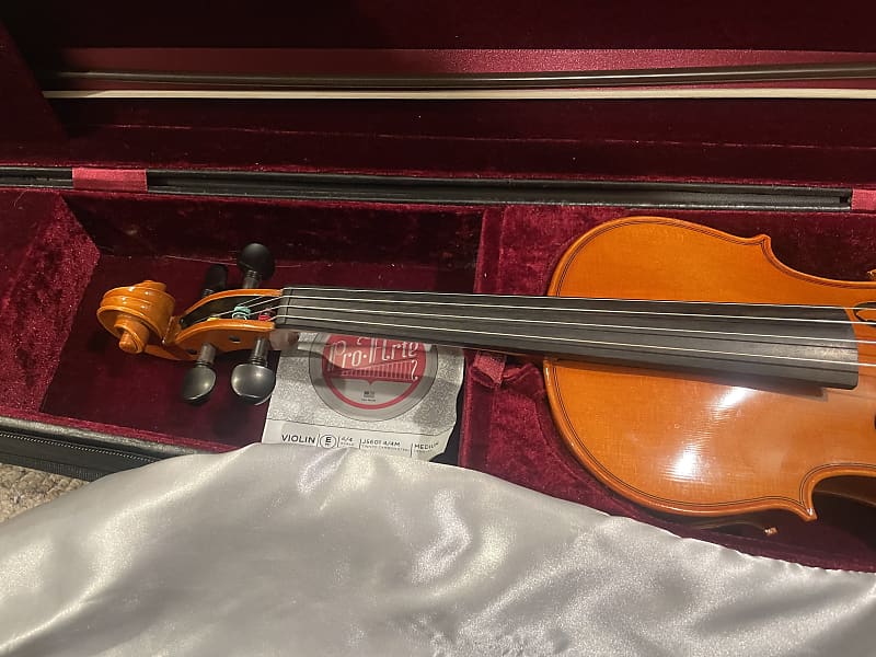 Eastman Violin VL 80 2015