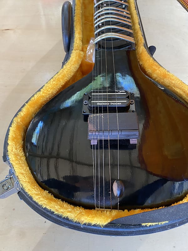 Electric sitar ( Zitar ) 2023 black Reverb UK