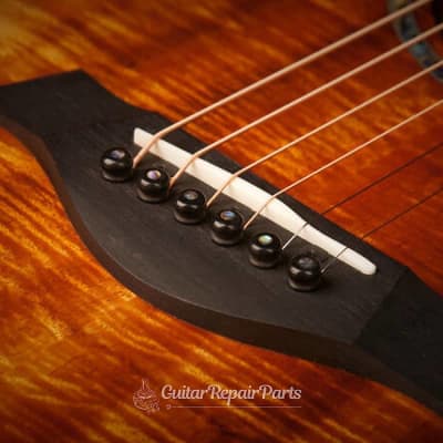 Taylor 7251 Acoustic Guitar Bridge Pins (6 pcs) - Ebony w. Abalone Dot image 2