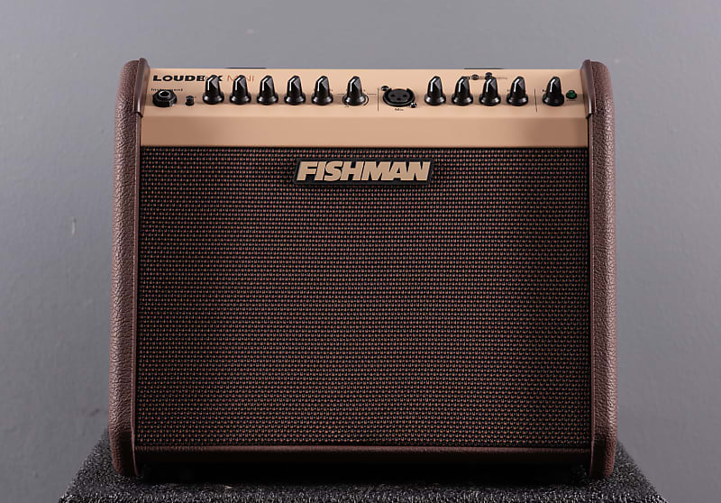 Fishman Loudbox Mini | Reverb