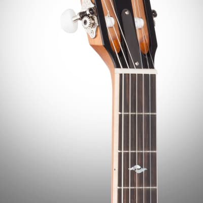Taylor 814ce-N Grand Auditorium Classical Nylon Acoustic-Electric Guitar (with Case) image 7