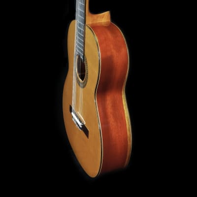 Luthier Built Torres Concert Classical Guitar - Cedar & Padauk image 1