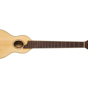 ウォッシュバーンローバー　Washburn Rover RO10 Amazon.co.jp: Washburn ワッシュバーン RO10 Rover Steel