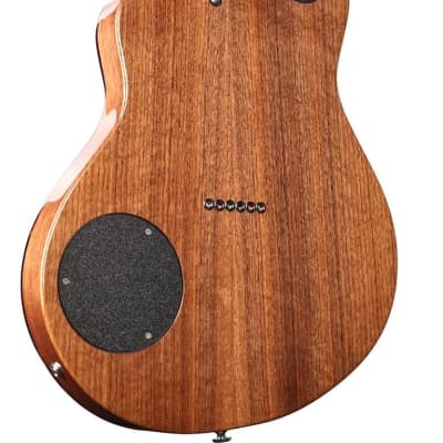 Rick Turner Renaissance RS6 Cedar / Walnut #5906 image 2