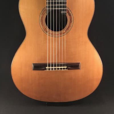 Richard Prenkert 7-String Guitar #401 2019 image 1