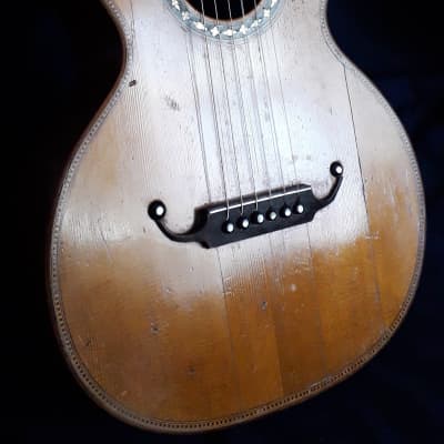 Parlor guitar Brazilian rosewood Germany (1890) for sale