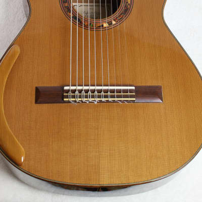 RARE Lucio Nuñez 10-String Classical Harp Guitar w/Cutaway, Arm Rest, Sound Port, Cedar/Cocobolo, TKL Hardshell Case image 12