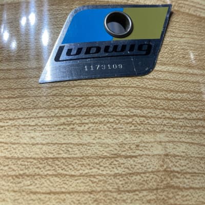 Ludwig 3 Ply Butcher Block Pro-Beat, 24,18,16,14,13, Blue/Olive Pointy Badge, Immaculate!! 1976 image 19