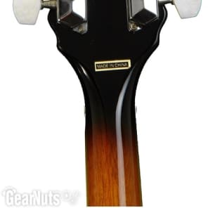 Washburn Americana B10 5-string Resonator Banjo image 8