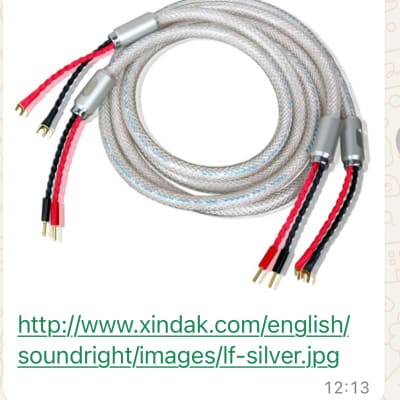 SOUNDRIGHT XF-SILVER 2018 - Silver image 6