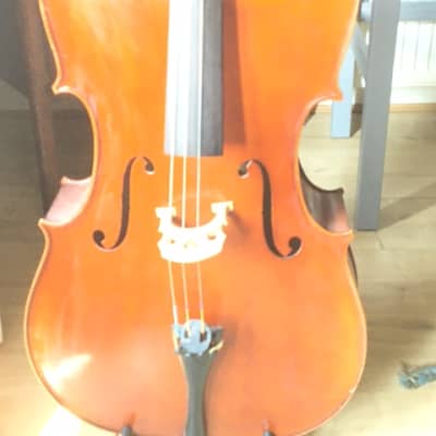 Paesold Cello model 603 1996; Bow by Johann Schneider