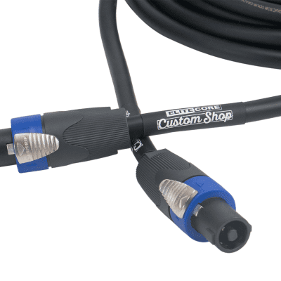 Elite Core CSS-2C 2 Conductor 12 AWG Tour Grade Speaker Cable with genuine Neutrik connectors - 10 ft / Twist-Lock / 1/4" image 2