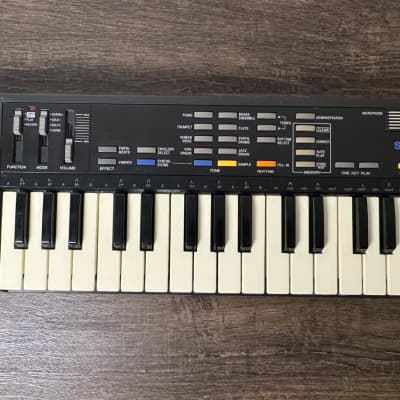 Realistic Concertmate-500 (Casio SK-1 Clone) Mid-80s - Black