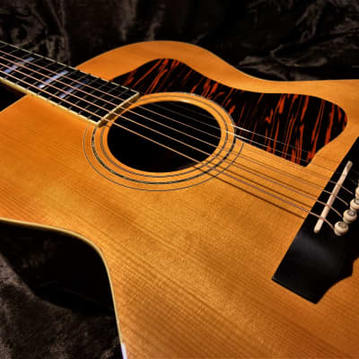 Guild F47R Highly Figured Rosewood with Guild Special Reserve GSR Appointments 2007 Tacoma Built image 12