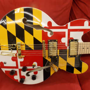 Gtown Maryland Flag 12 String Electric Guitar w/ Hard Case And Set Up With Elixir 9s Or 10s Bag B Stock image 1