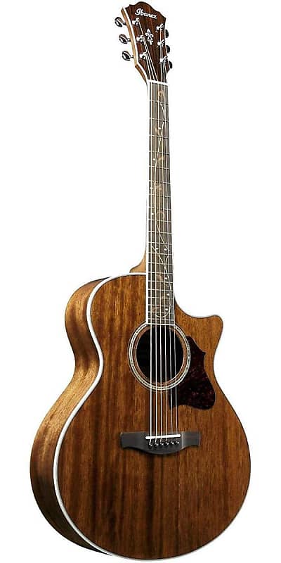 Ibanez AE Series AE245NT Acoustic-Electric Guitar image 1